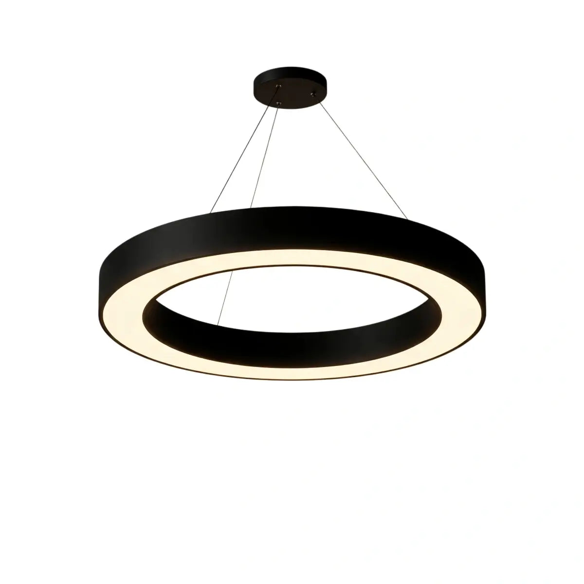Embrace Modern Ring Pendant Light